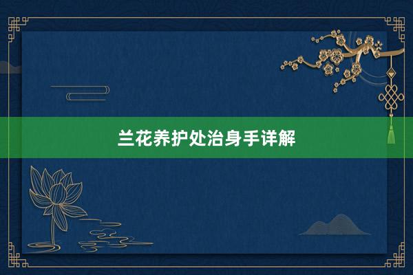 兰花养护处治身手详解